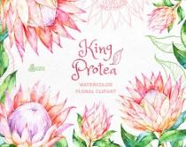 wedding photo - King Protea. Watercolor floral Clipart, wedding invitation, floral, tropical bridal, african, greetings, diy clip art, flowers, pink, frame