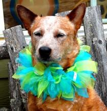 wedding photo - Custom Party Dog Collar, Custom Birthday Dog Collar, Custom Ribbon Dog Collar, Custom Parade Dog Collar, Custom Wedding Dog Collar, Dog TuTu