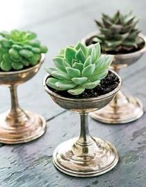 wedding photo - 22 Table Decorations And Centerpiece Ideas With Succulents