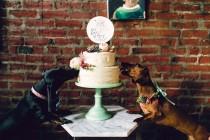 wedding photo - Dogs Of Honor