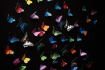 wedding photo - Wall decoration "Butterflies MEGA PACK", 20 pieces, e.g. peacock butterfly, Brimstone, colorful