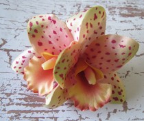 wedding photo - Hawaiian Coral/Peach/ Wine Two Orchids hair flower clip -