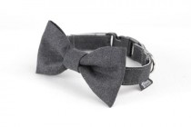 wedding photo - Dog Bow Tie - Smokey Grey