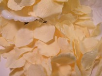 wedding photo - Rose Petals Bulk, Artifical Petals 200, Cream / Ivory, Bridal Shower Wedding Decoration, Flower Girl Basket Petals, Table Scatter