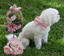wedding photo - Pink Dog Bow Tie, Pet Accessory, Dog Birthday, Pet wedding accessories, Pink Lovers