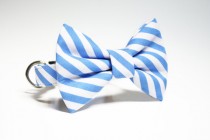 wedding photo - Dog Collar- Striped Bow Tie Dog Collar- Wedding Dog Collar- Preppy stripes- Nautical Dog Collar