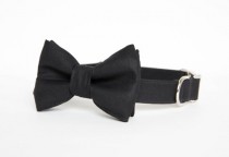 wedding photo - Bowtie Dog Collar - Black Tie Affair