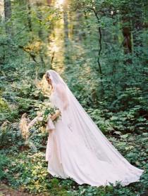 wedding photo - Relaxed Elopement In The Redwoods