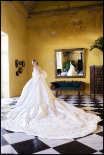 wedding photo - MODERN DAY SWAN- Lauren Santo Domingo