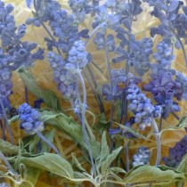 wedding photo - Blue Salvia, Dry Flowers, Stems, Flower Stems, Wedding, Bouquet, Wreath Making, Supplies, Crafts, Floral, Blue Flowers, Table Decor, Wreath