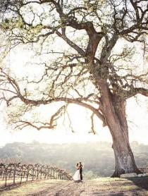 wedding photo - Rustic Sophistication Wedding Shoot In Wine Country