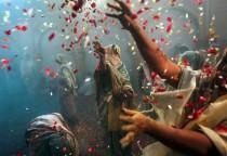wedding photo - Holi Festival In India