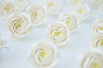 wedding photo -  Floral Wedding Magnets 'Paradise Rose', Ivory Party Favors, Ivory Rose Favors
