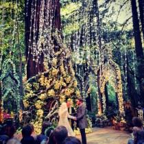 wedding photo - Here's How "Tasteful" And "Subtle" Sean Parker's Wedding Really Was