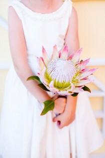 wedding photo - Spotted In The Vault: Blush Pink Protea