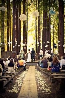 wedding photo - Wedding In Woods