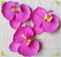 wedding photo -  30pcs 9*10cm Radiant Purple Orchids Silk Phalaenopsis Artificial Silk Orchid Flower Heads Fabric Silk Flowers Hair Clips DIY Crafts