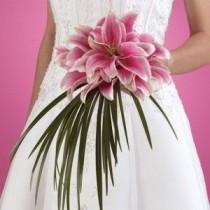 wedding photo - Stargazer Lily Wedding Bouquets - The Wedding Specialists