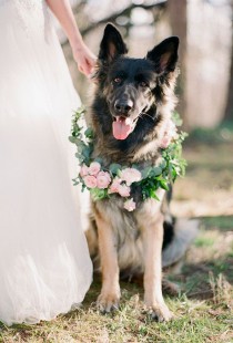 wedding photo - Ways To Include Pets In Your Wedding