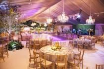 wedding photo - Sophisticated Houston Wedding By Occasio Productions