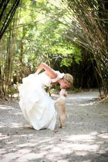 wedding photo - Picasa Web Albums - Chelsea - Chelsea Caldw...