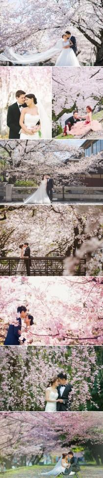 wedding photo - 25 Stunning Cherry Blossom Wedding Photos You Will Love