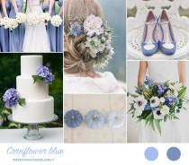 wedding photo - Matrimonio azzurro fiordaliso