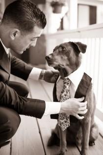 wedding photo - 54 Photos Of Dogs At Weddings That Are Almost Too Cute For Words