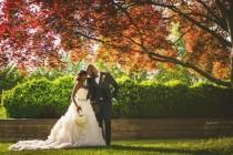 wedding photo - Stunning And Timeless Wilkes-Barre Wedding 