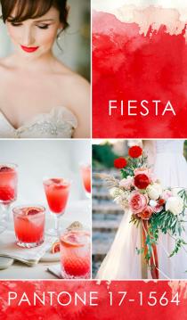 wedding photo - Pantone - Fiesta 17-1564