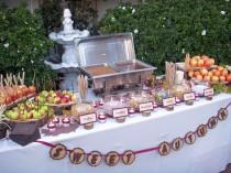 wedding photo - The Sweet Table Boutique - Caramel Apple Station
