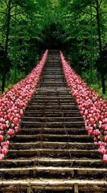 wedding photo - Vacation-travel-photos-tulip-stairs-kyoto-japan