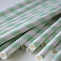 wedding photo - Mint Green Circular Striped Paper Straws