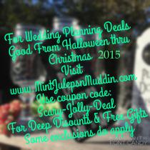 wedding photo -  Halloween to Christmas Wedding Shopping Discount Code