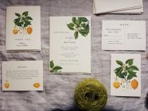 wedding photo - Lemon Wedding Invitation Vintage Lemon Plant Wedding Stationery Digital File or Printed Invitations