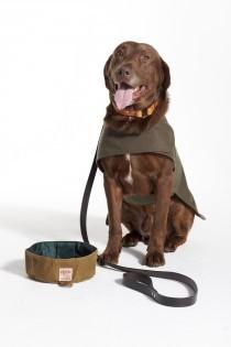 wedding photo - Pet Accessories by Filson & Barbour, Rescue Dogs by Seattle Humane