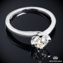 wedding photo - Platinum "Carina" Solitaire Engagement Ring