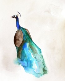 wedding photo - Watercolor Painting - Peacock Art - Bird Painting - 5 X 7 Giclee Print - Watercolor Print