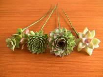 wedding photo - 16 Wired Succulents for DIY bouquet