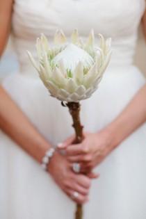 wedding photo - Modern Rustic Herb Inspired Wedding Ideas