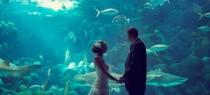 wedding photo - Affordable Honeymoon Destinations in the UK