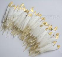 wedding photo - Bulk / Wholesale GOLD dipped natural white feathers - metallic gold hand painted duck feathers / 3-4.5 in (7.5-11.5 cm) long / FB120-3G