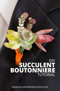 wedding photo - How To Make Succulent Boutonnieres For Your DIY Wedding