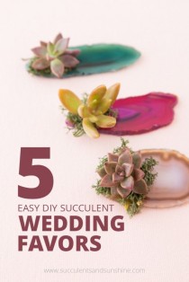 wedding photo - Cheap And Easy DIY Succulent Wedding Favors