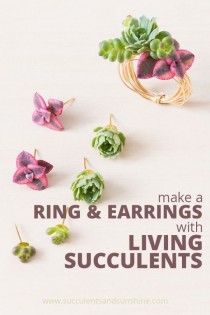 wedding photo - Make Your Own Living Succulent Earrings And Ring
