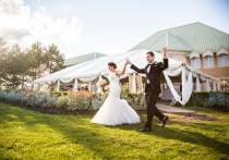 wedding photo - A Pretty Vineyard Wedding In Niagara-on-the-Lake