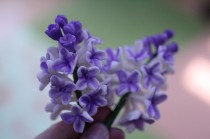 wedding photo - Gumpaste Lilac Cluster for Cake Decorating, gumpaste filler flowers