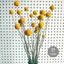 wedding photo - Craspedia - BIlly Balls - BIlly Buttons Dried Yellow Flowers