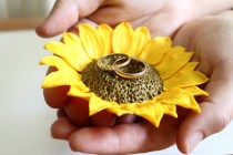 wedding photo -  Yellow Sunflower ring Dish, holder Ring bearer, Wedding rings storage, sunflower wedding, wedding decoration, Wedding Gift, Sunflower ring