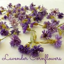 wedding photo - Dried Cornflowers, Lavender, Cornflowers, Bachelor Buttons, Real Flowers, Edible, Flowers, Decorations, Soap Supplies, Dry Flowers. Edible